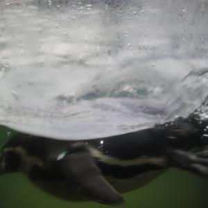 日本巨乳熟妇工口相册
